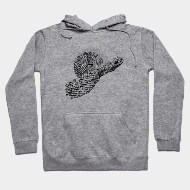 Uracoan rattlesnake Hoodie by Guardi